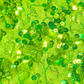 Electric Lime Sequin Long Sleeve Top